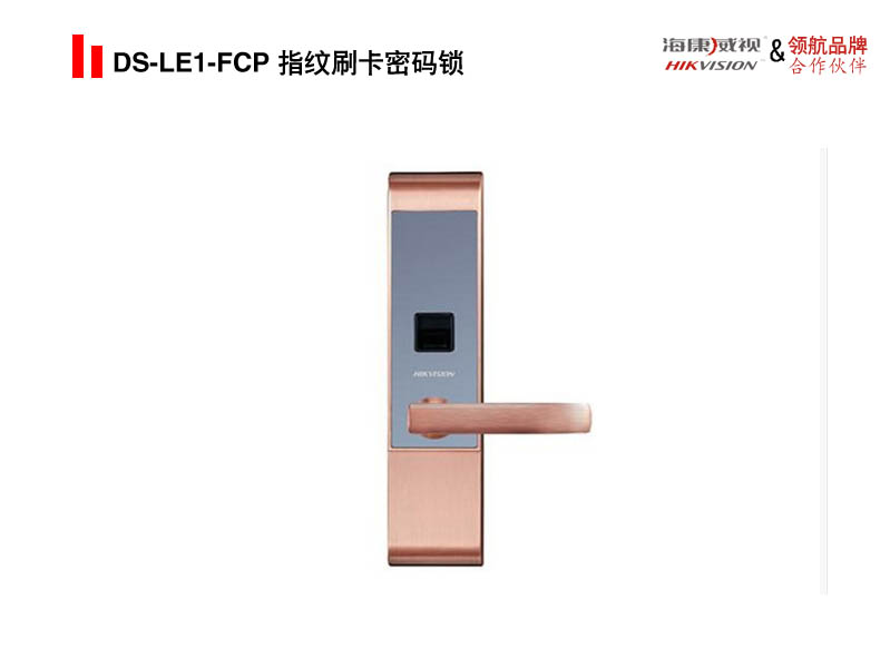 DS-LE1-FCP 指纹刷卡密码锁